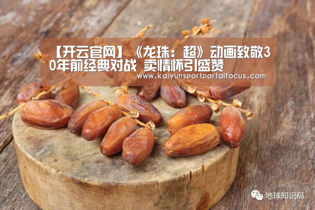 【开云官网】《龙珠:超》动画致敬30年前经典对战 卖情怀引盛赞(图2) 【开云官网】《龙珠:超》动画致敬30年前经典对战 卖情怀引盛赞(图2)