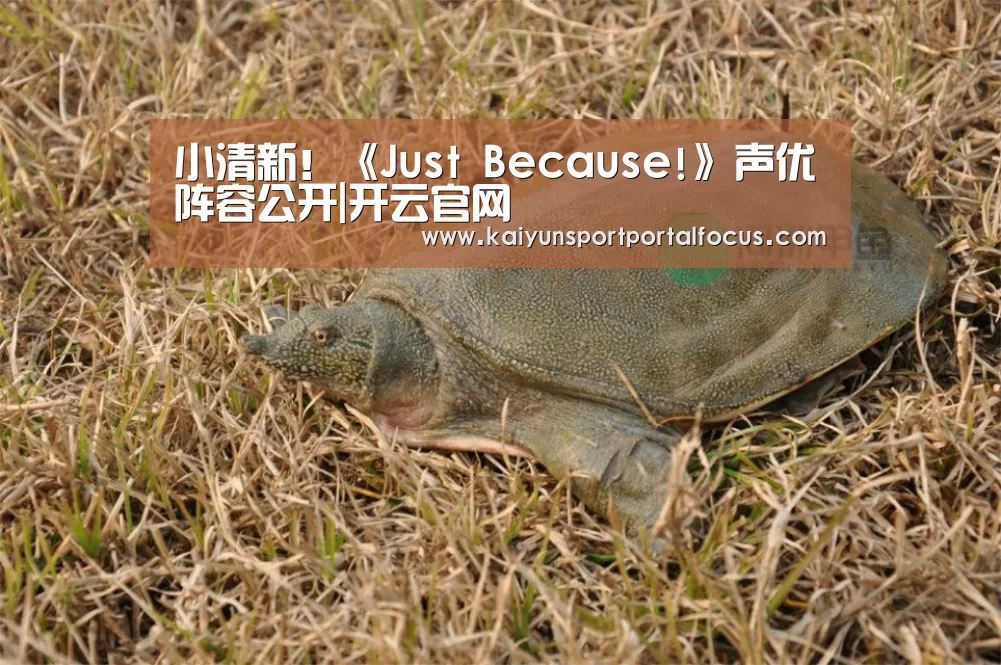 小清新!《Just Because!》声优阵容公开|开云官网(图3) 开云官网